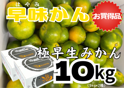 みかん(柑橘) | 農産物直売所どろや